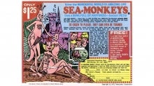 The classic "sea monkeys" comic book ad.