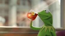 Kermit the Frog sips a cup of Lipton Tea from a 2014 commercial