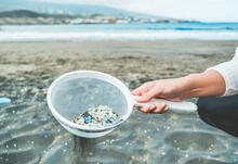 A person holds a sieve full of bits of plastic strained out of a body of water.