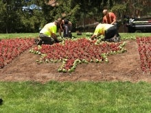 Grounds workers plant flowers in the Flag Garden.