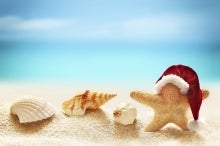 Seashells wearing Santa hats on the beach. Seriously.