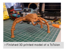 A 3D-printed TsTsian alien model.