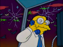 A classic joke from The Simpsons - Hans Moleman in a phone booth asking for the biggest seed bell they have while birds run amok outside.