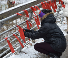 A woman ties red ribbons to the bridge over Laurel Creek.