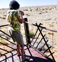 Carol Ann Weaver captures images and audio while on a fortified tower in the desert.