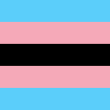 The Trans flag.