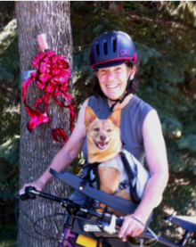Karen Fox on a bicycle with her dog in a harness.