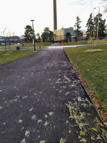 A fresh asphalt path absolutely smeared with Canada goose droppings.