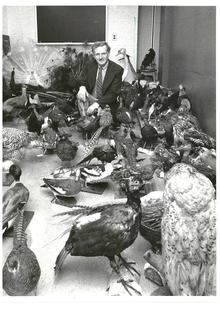 Frank Brookfield pictured with stuffed bird specimens including owls, peacocks, ducks, and so on.