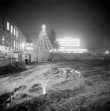 The Dana Porter Library with Christmas lights circa 1965.