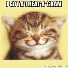 I got a treat-a-gram smiling cat meme