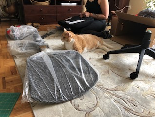 Sully the cat helps with chair assembly.