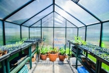 The interior of the plant nursery.