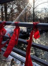 The bridge over the creek with ribbons tied to it.