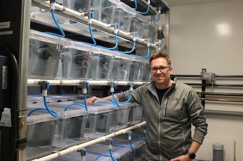 Professor Paul Craig stands next to a series of tanks.