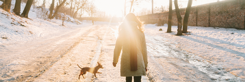 woman walking with dog in snow sunny day