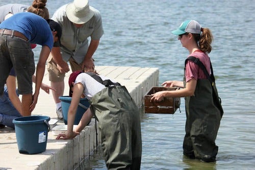 Students in WATER 602, getting hands-on experience in the Grand River Watershed.