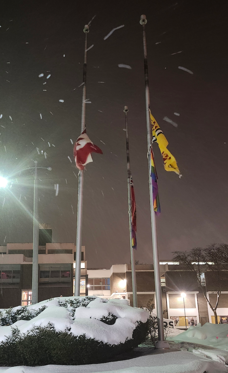 flags flying as snowflakes fall on the early morning of January 24, 2025.