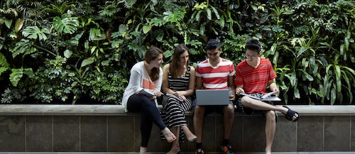 Students sit in front of the Environment 3 Living Wall.