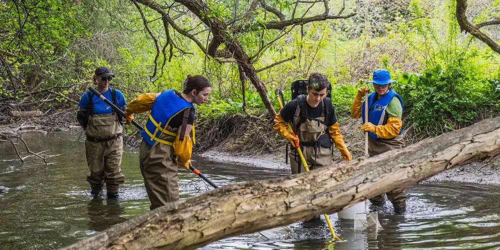 Students wearing hip-waders take samples in a creek.