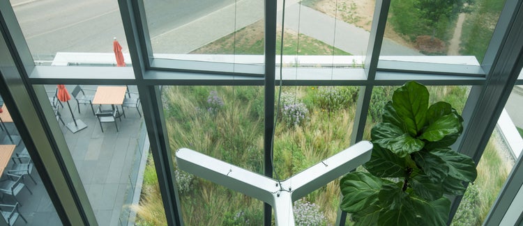 An overhead shot of a green roof on a campus building.