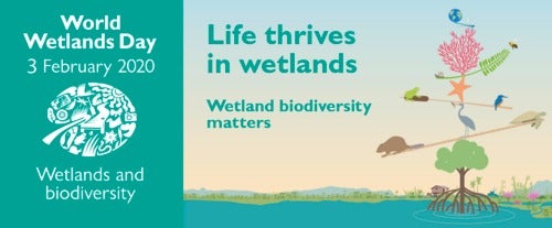 World Wetlands Day Research Symposium banner.