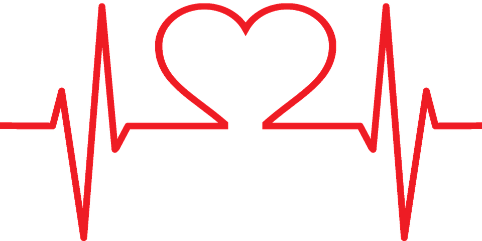 An EKG line with a heart-shaped symbol in the middle.