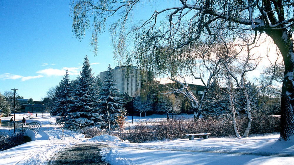 Winter scene at the University of Waterloo