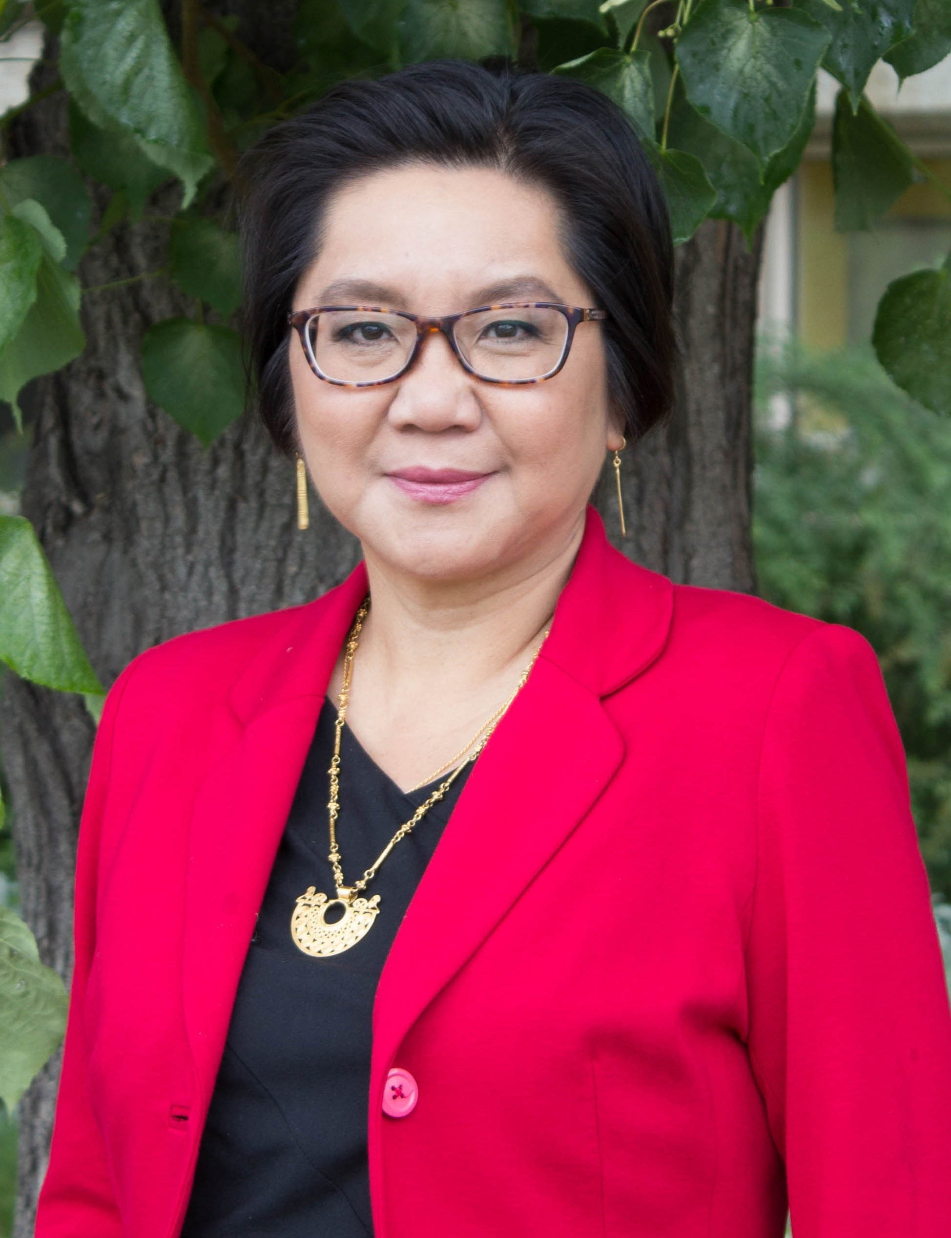 Professor Lili Liu.