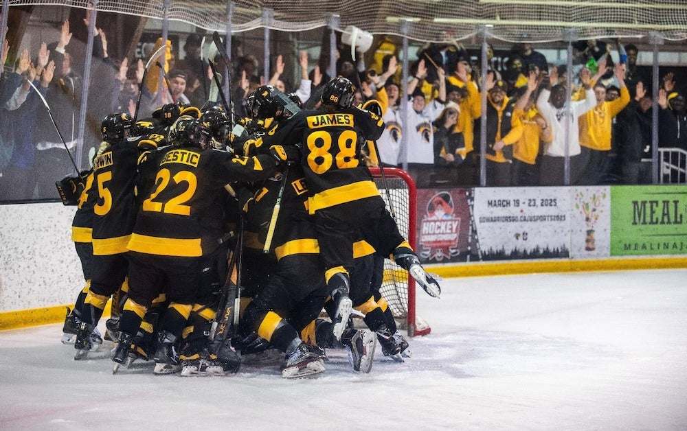 The women's hockey team celebrates a goal on the ice.