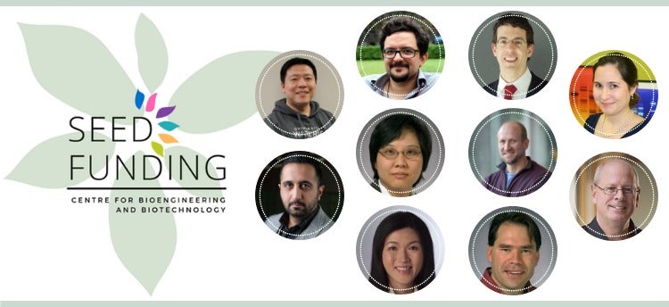 A collage of CBB Seed award winners.