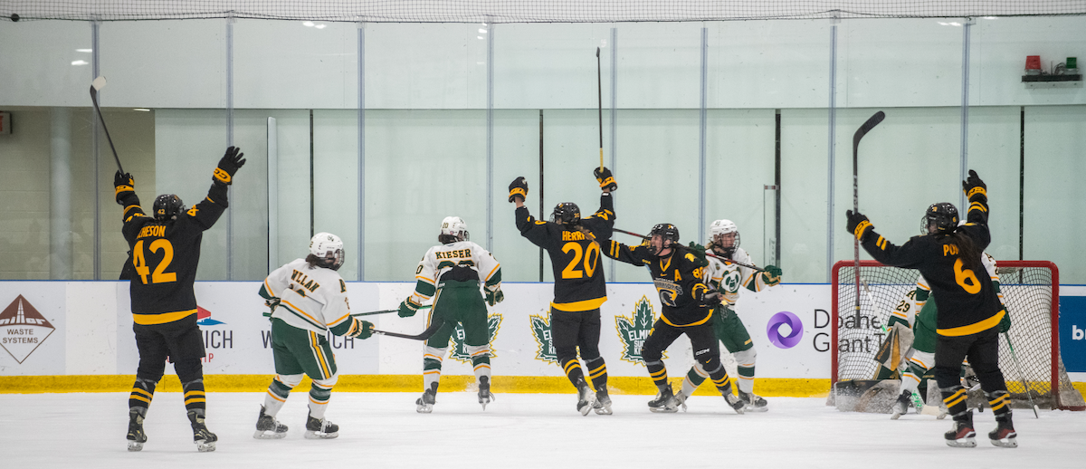 Women's hockey players raise their sticks in victory as a goal is scored.