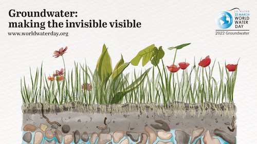 A poster featuring a wetland with grass and flowers