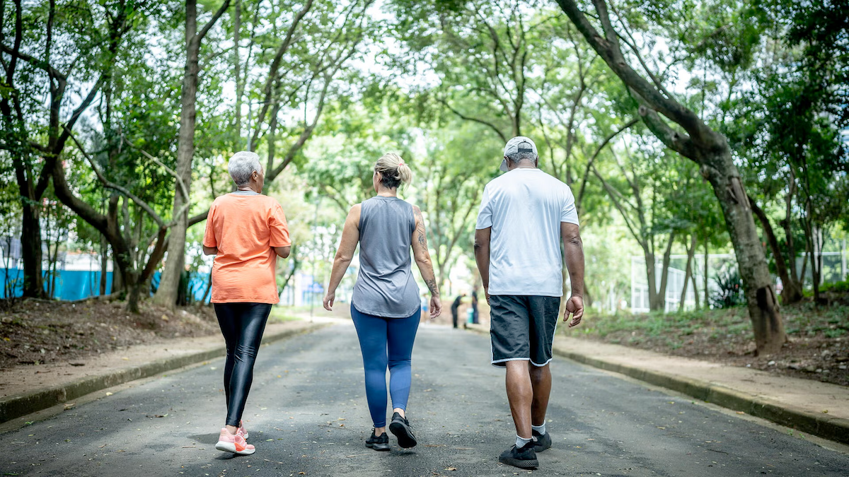 Three adults walking on a paved pathway with trees on either side.