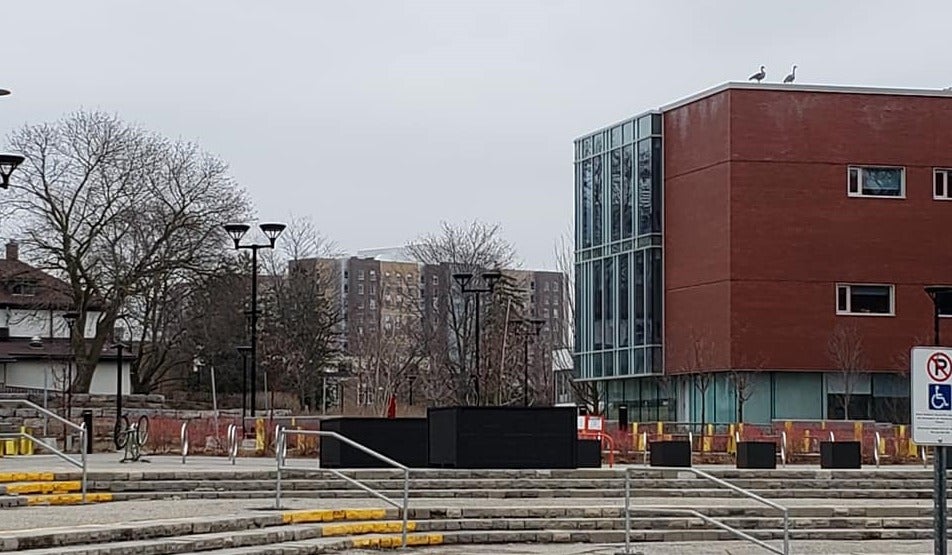 Two geese stand atop the Tatham Centre.