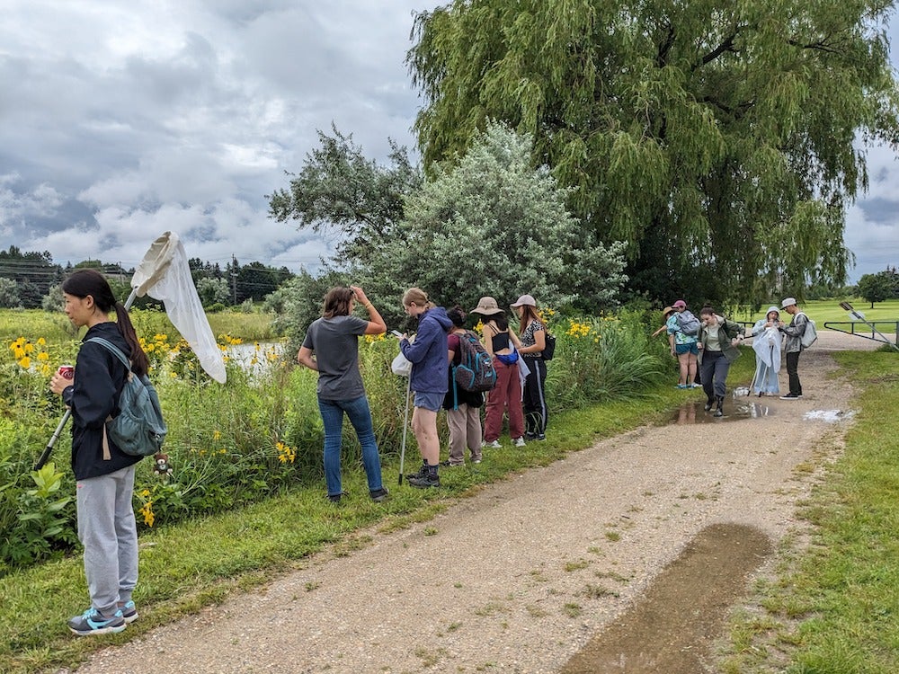 BioBlitz participants armed with butterfly nets search for insects along a trail.