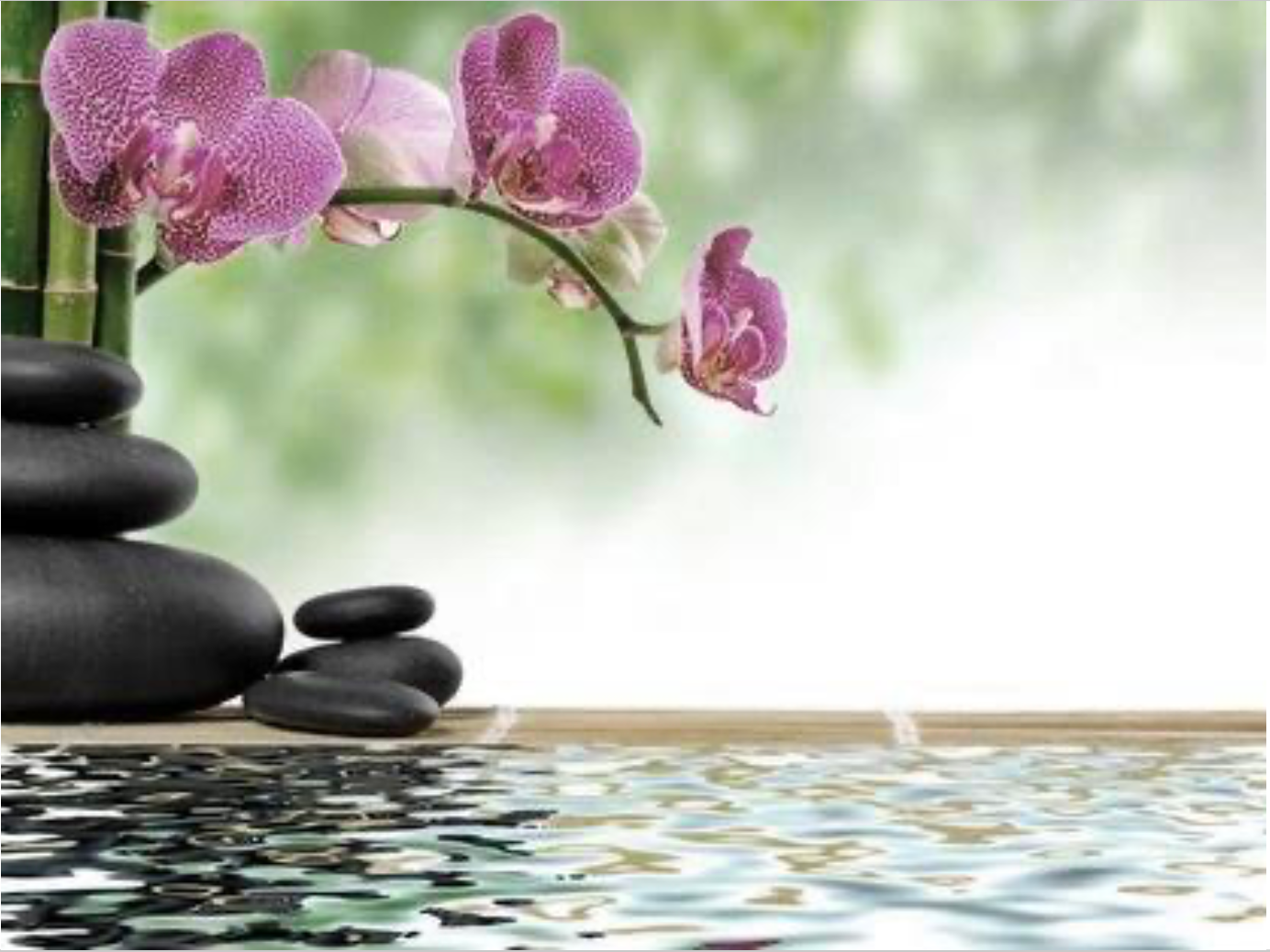 Bamboo, polished rocks, and placid water.