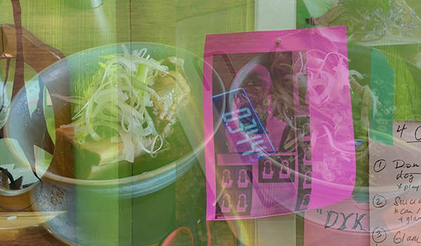 A piece of art by Maggie Lychek suggesting multiple-exposure photography of common items.