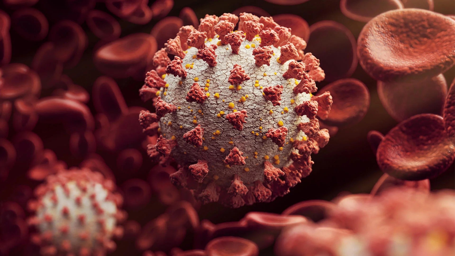 A magnified image of a COVID virus.