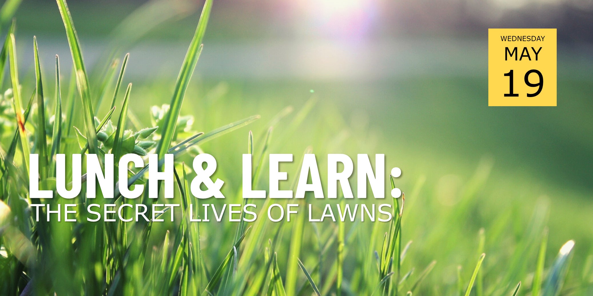 Lunch & Learn banner showing a close-up photo of grass.
