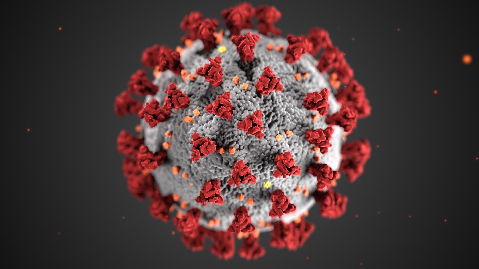 A microscopic image of the COVID-19 virus.