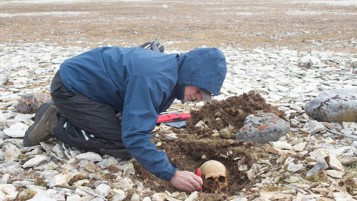 Researcher Douglas Stenton excavating bones from the Franklin expedition at Erebus Bay.