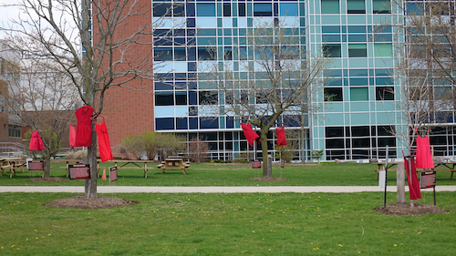 Red dresses hang from trees on campus.