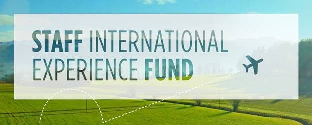 Staff International Experience Fund banner image.