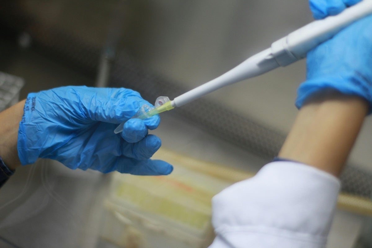 Close-up of a scientist using a pipette in a laboratory, highlighting precision work with blue gloves