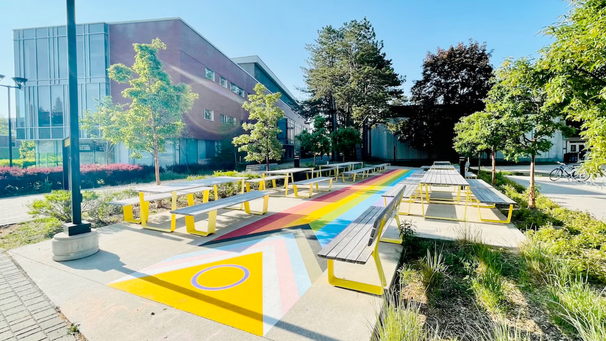 The pride sidewalk in the arts quad.