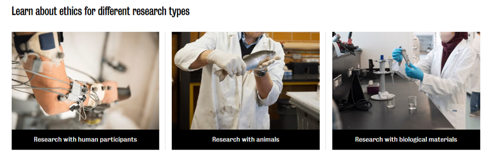 Screen shot of new Research Ethics website landing page content.