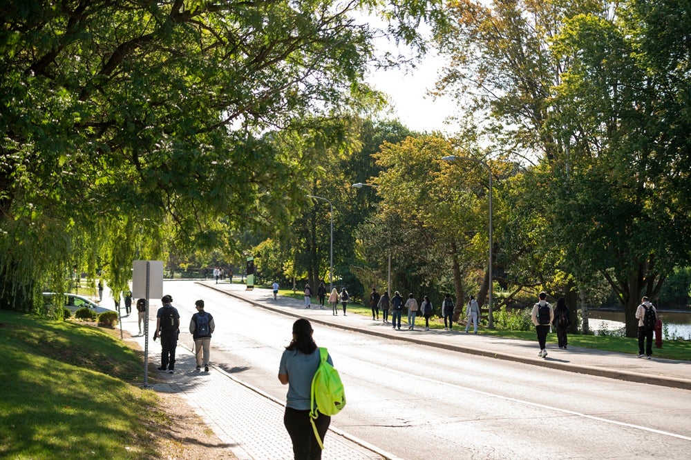 Employees and students walk across campus on a sunny day.