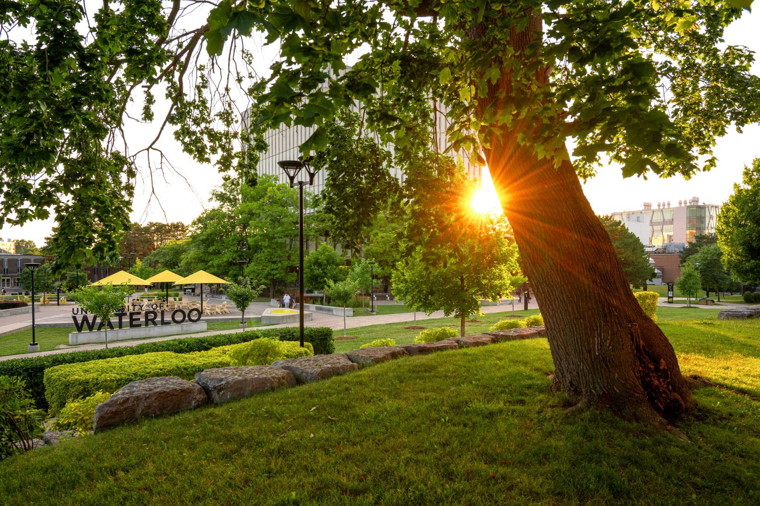 Sun sets on Waterloo campus