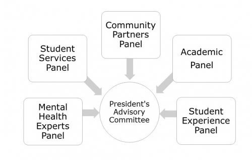 An image showing the interconnected structure of the PAC-SMH and its topical expert panels